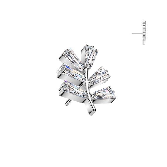 Titanium push-in end Crystal Hoya