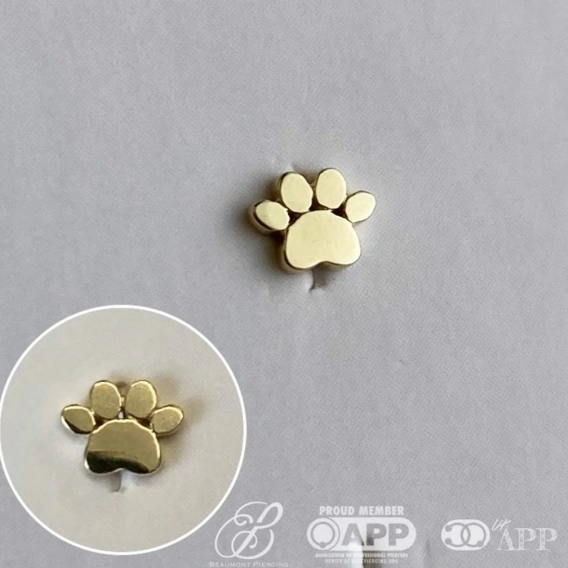 Gold Dog Paw ozdoba push-in z żółtego złota 14k