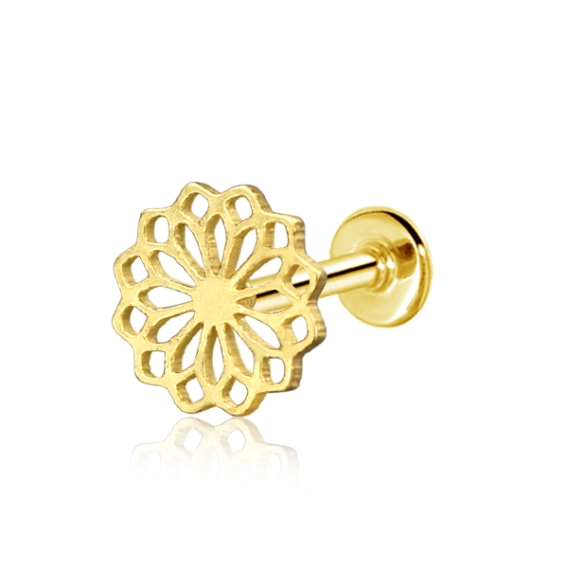 Złoty labret Chrysanthemum