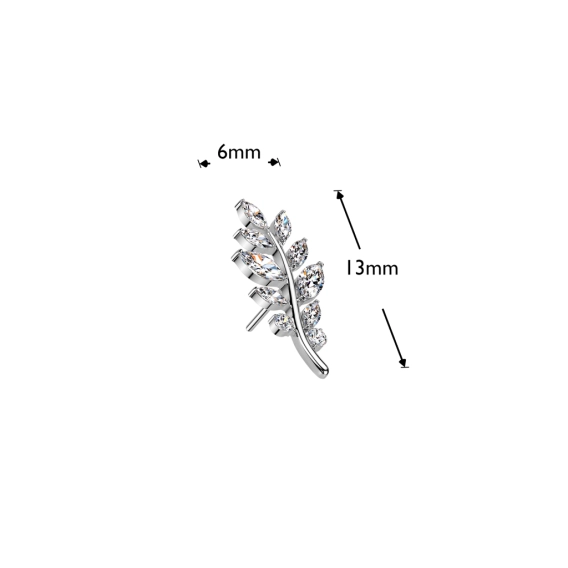 Titanium push-in end Crystal Fern