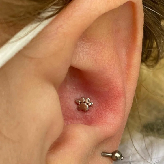 Gold Dog Paw ozdoba push-in z żółtego złota 14k