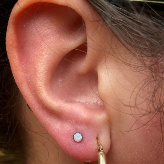 White Opal Junipurr tytanowa ozdoba push-in