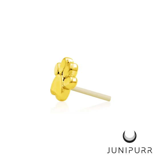 Gold Dog Paw ozdoba push-in z żółtego złota 14k