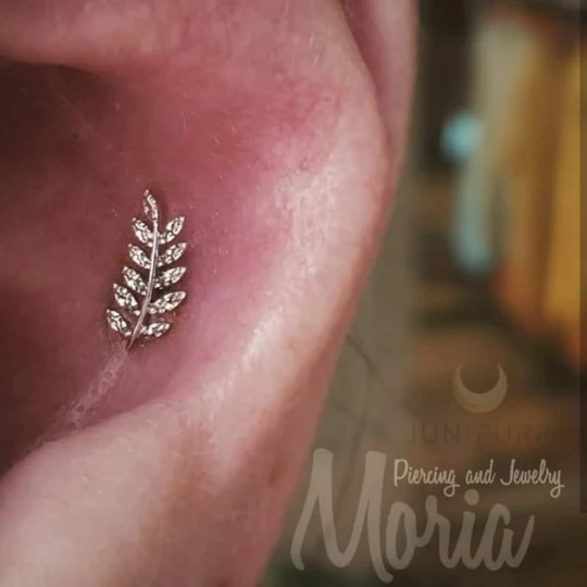 Willow Right ozdoba push-in z żółtego złota 14k