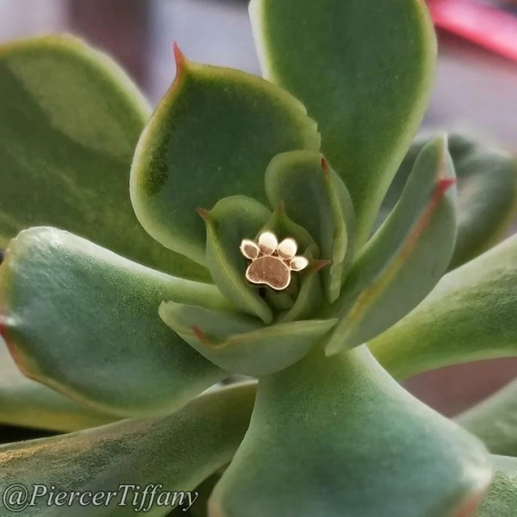 Gold Dog Paw ozdoba push-in z żółtego złota 14k