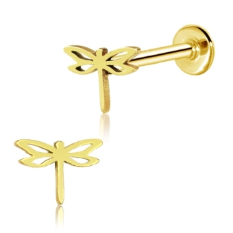 Złoty labret Dragonfly