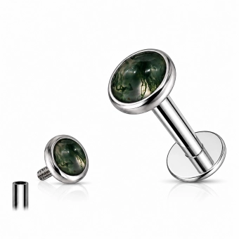 Tytanowy labret moss agate bezel set