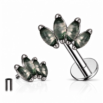 Tytanowy labret 4 marquise moss agate prong set