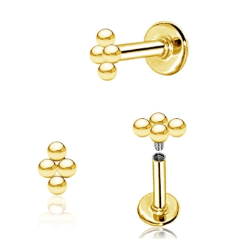 Złoty labret Crux