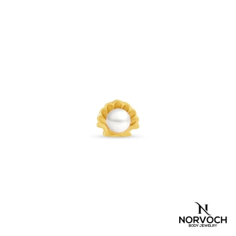 Oyster with pearl  push-in top 14k yellow gold