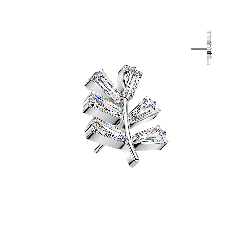 Titanium push-in end Crystal Hoya