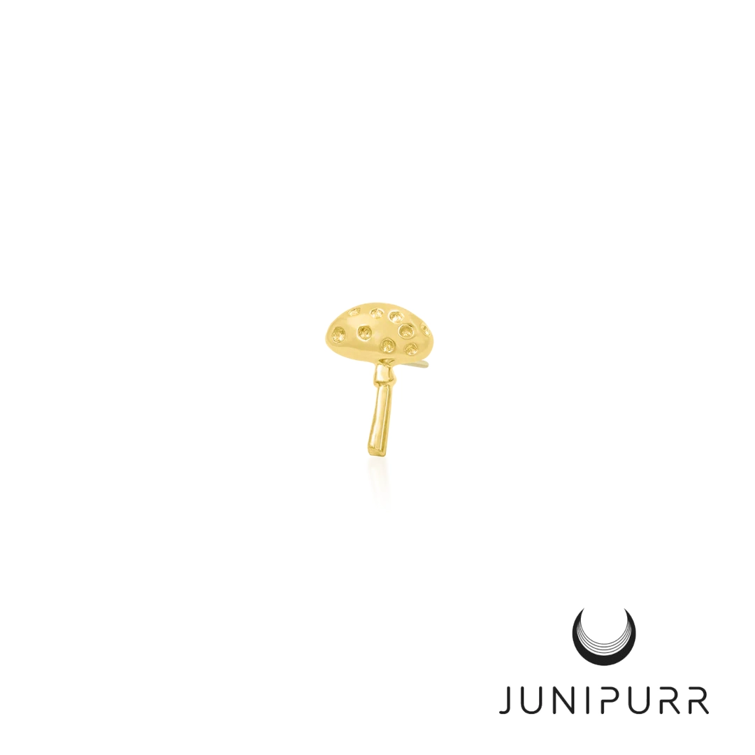 Dotty's Friend Spotty ozdoba push-in z żółtego złota 14k