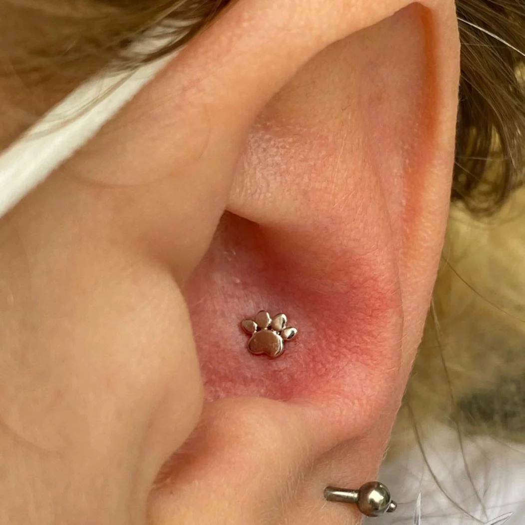 Gold Dog Paw ozdoba push-in z żółtego złota 14k