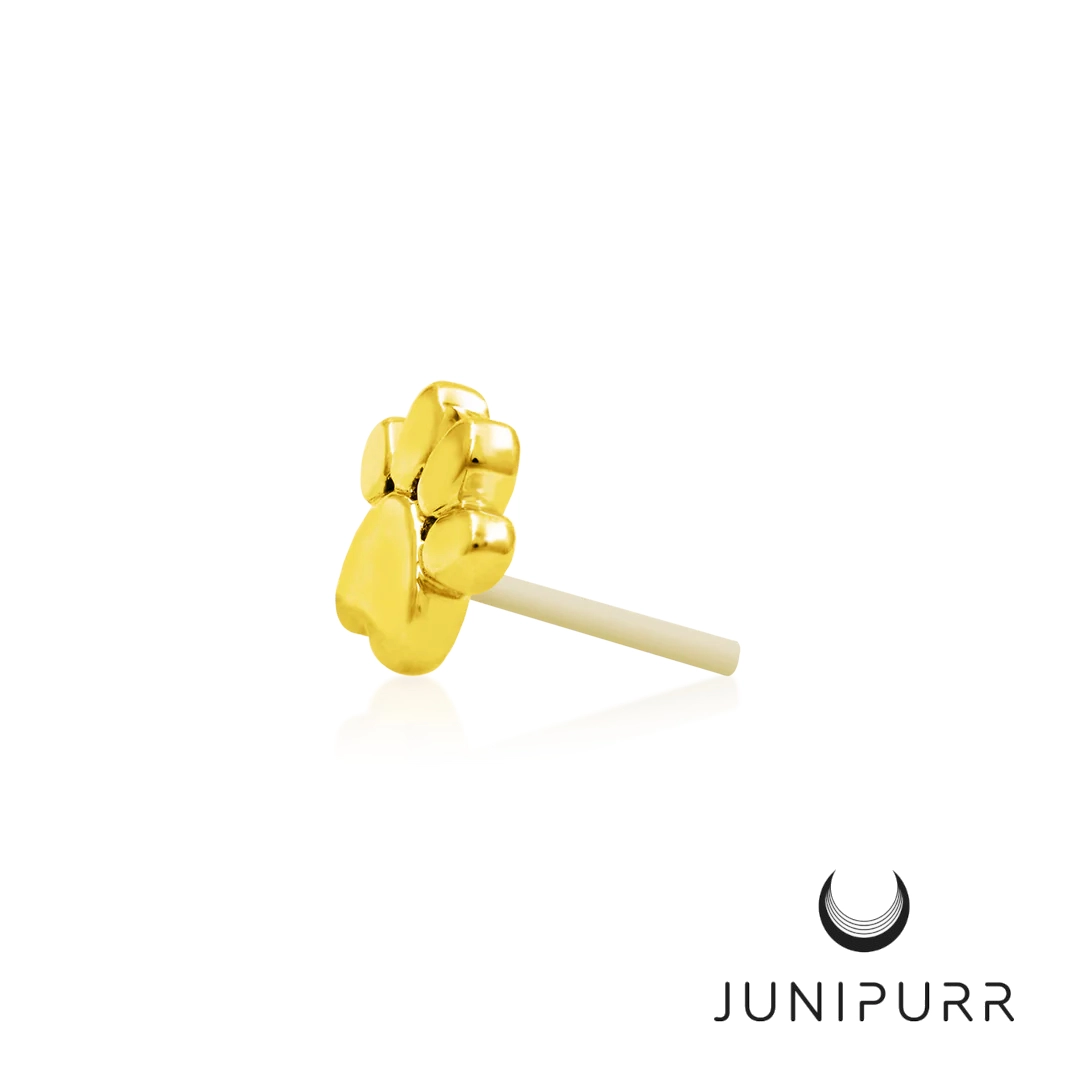 Gold Dog Paw ozdoba push-in z żółtego złota 14k