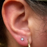 White Opal Junipurr tytanowa ozdoba push-in