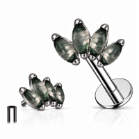 Tytanowy labret 4 marquise moss agate prong set